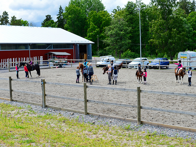 LIDINGÖ PONNYRIDSKOLA