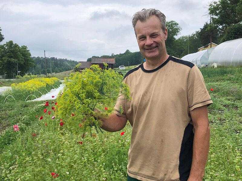 JOOST THE DUTCH GARDENER